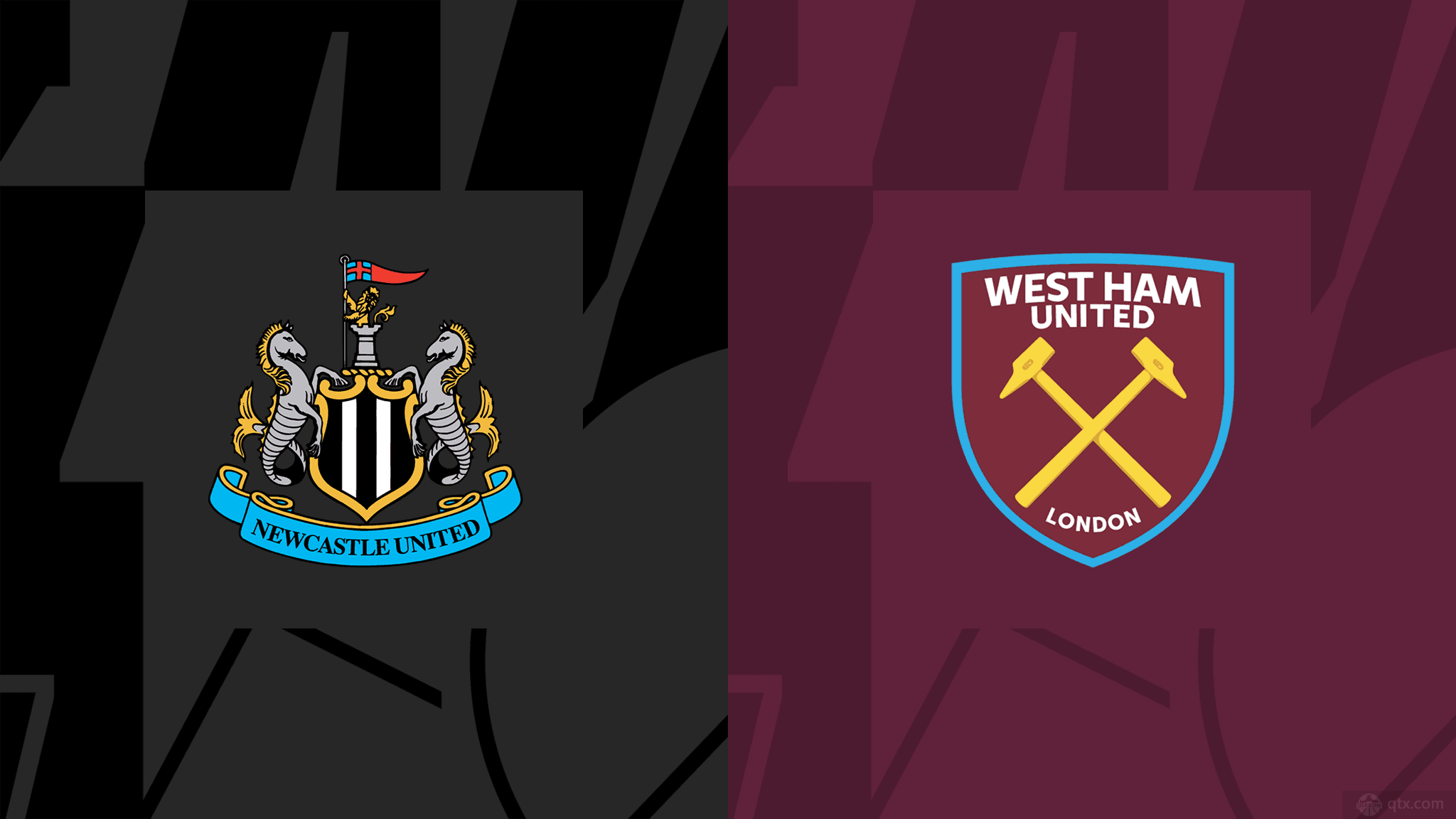 养和国际视 养和国际视